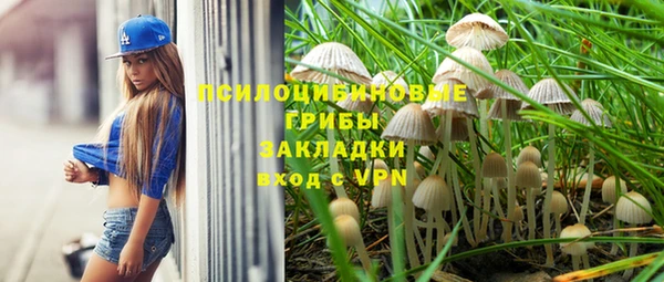 мдма Богородск