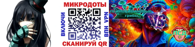 где можно купить наркотик  Вельск  Галлюциногенные грибы MAGIC MUSHROOMS 