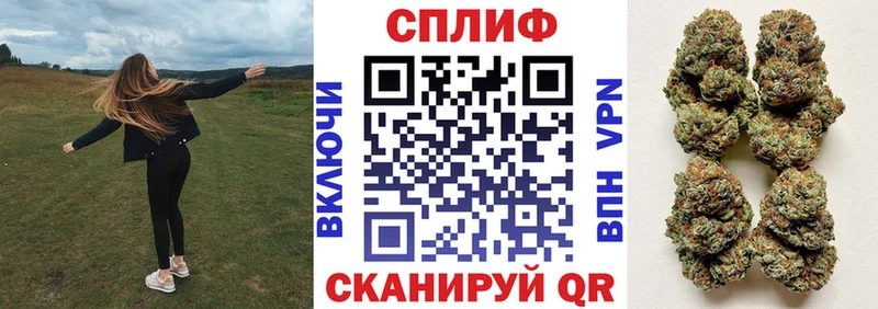 где найти наркотики  Вельск  Канабис VHQ 